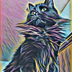 Meet your Posher, Kim